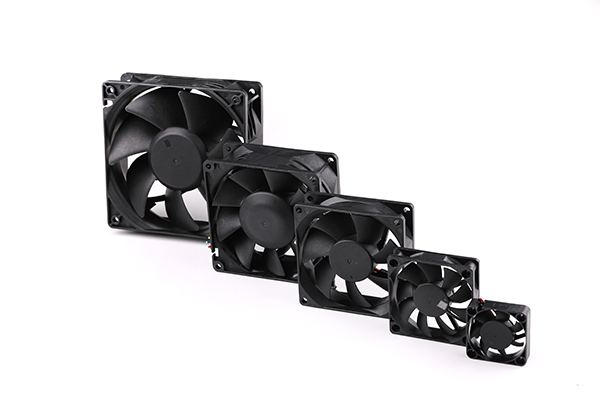 Fan